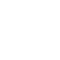 World Icon